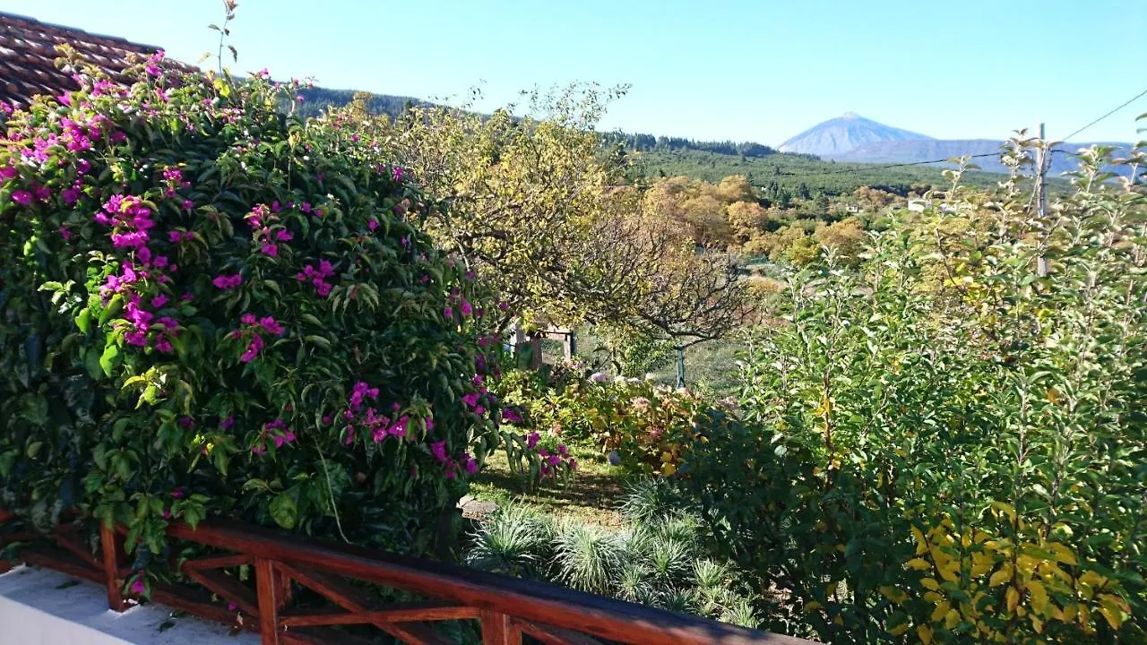 El Pajar De Ines Guest House La Orotava 0*,